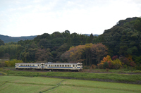 秋の箱庭列車