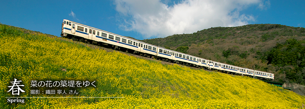 ひたひこ線・ローカル鉄道写真：今月のピックアップ02