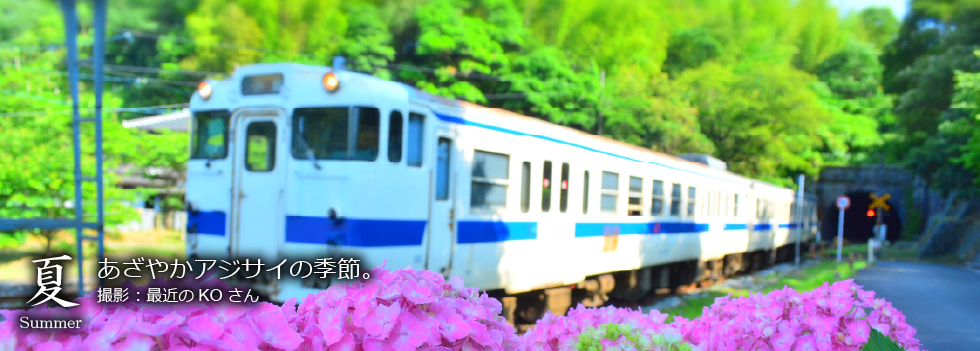 ひたひこ線・ローカル鉄道写真：今月のピックアップ03