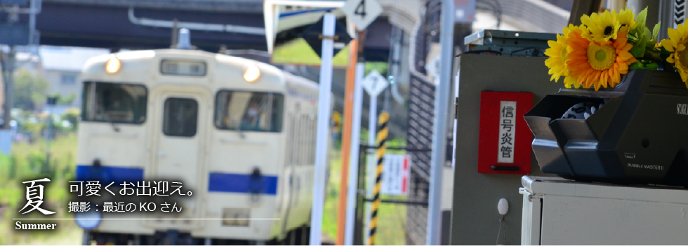 ひたひこ線・ローカル鉄道写真：今月のピックアップ06