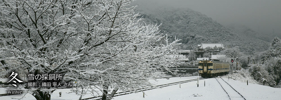 ひたひこ線・ローカル鉄道写真：今月のピックアップ04