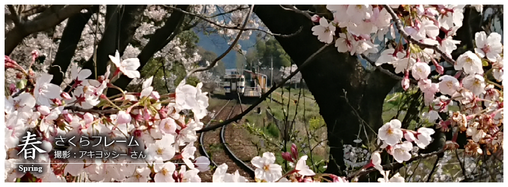 ひたひこ線・ローカル鉄道写真：今月のピックアップ01