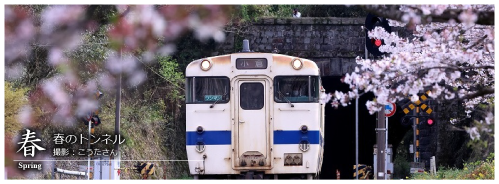 ひたひこ線・ローカル鉄道写真：今月のピックアップ02