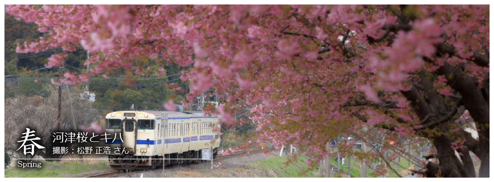 ひたひこ線・ローカル鉄道写真:今月のピックアップ03