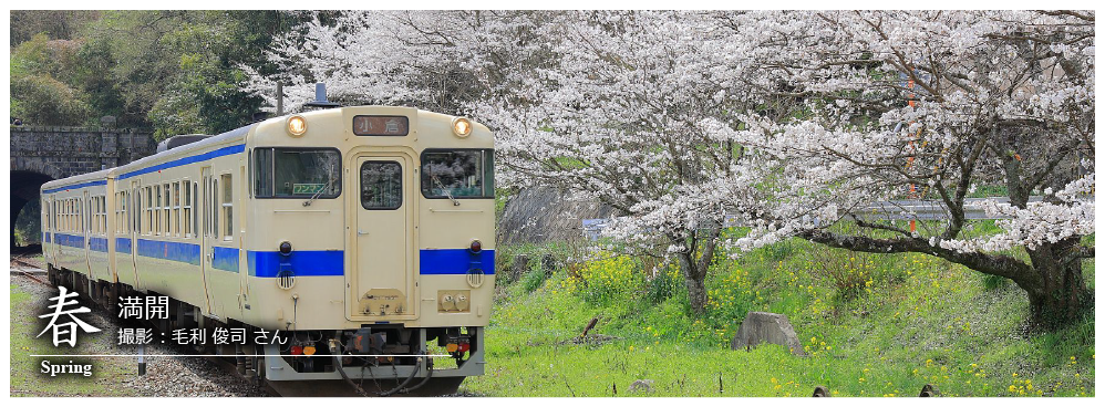 ひたひこ線・ローカル鉄道写真：今月のピックアップ05