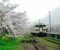 春の採銅所駅