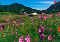 採銅所駅の秋