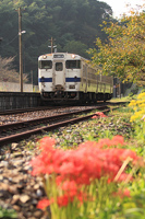 彼岸花咲く採銅所駅