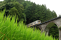 雨の眼鏡橋