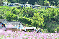 春の節句