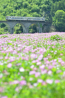 岩屋の春