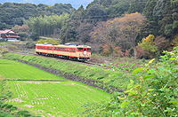 国鉄急行色　みのり号