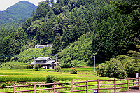 棚田親水公園よりの眺め