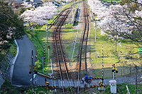 のどかな山間の駅