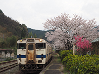 華やかな出迎え