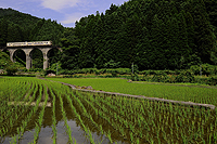 梅雨のひと休み