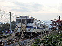 ススキと列車