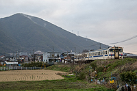 雨上がりの朝