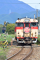秋の定番！みのり号