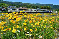 季節の花が見れる駅