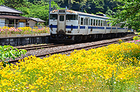 花に囲まれて