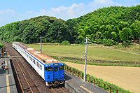 初夏の志井駅