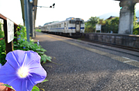 夏の志井駅