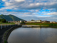 水田のある風景