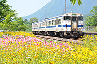 お花畑みたいな採銅所駅