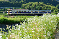 志井の鉄道風景