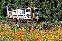 花園のような駅