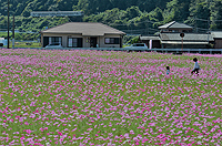 休日のひととき。