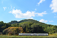 ゆっくりのんびり秋晴れ列車。