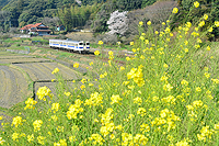 春日和を走る。