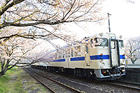 桜咲く朝の採銅所駅。