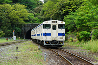 新緑のトンネル抜けて～平成から令和へ～