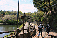 不動池の歩道