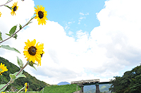 青空の金辺川橋梁