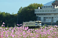 X秋の日田彦山線。