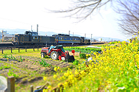 のんびりと春の池尻駅