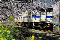 春色の風景と気動車