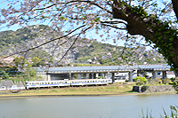 春の風を浴びて彡桜Ver