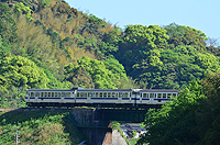 新緑を走る。日田彦山線。