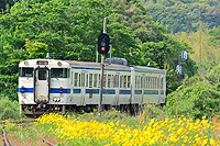 初夏の採銅所。お花畑 