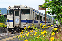 ゆっくりのんびり日田彦山線。ステッカー列車。