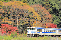 深秋と日田彦山線