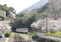 トンネルを抜けたら春の駅