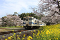 花の香る駅