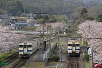 さくらの駅