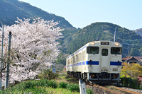 春の日田彦山線。